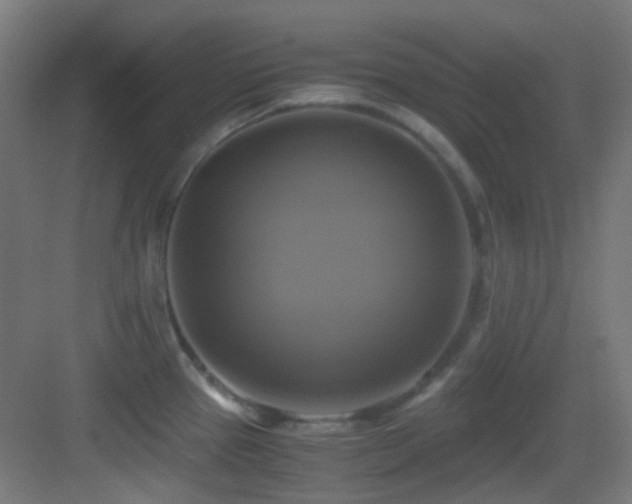 X0000083561337200702091114