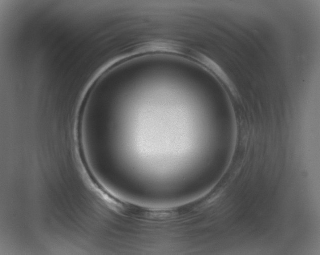 X0000083561339200702091115