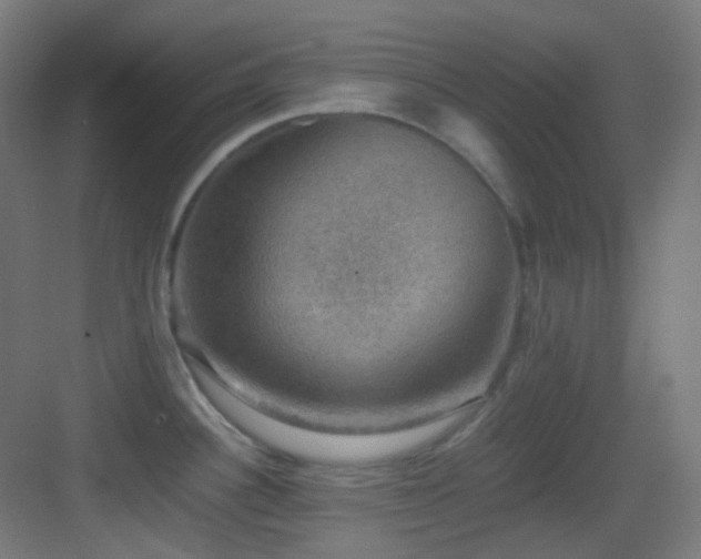 X0000083561340200702091115