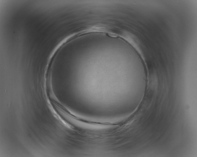 X0000083561341200702091115