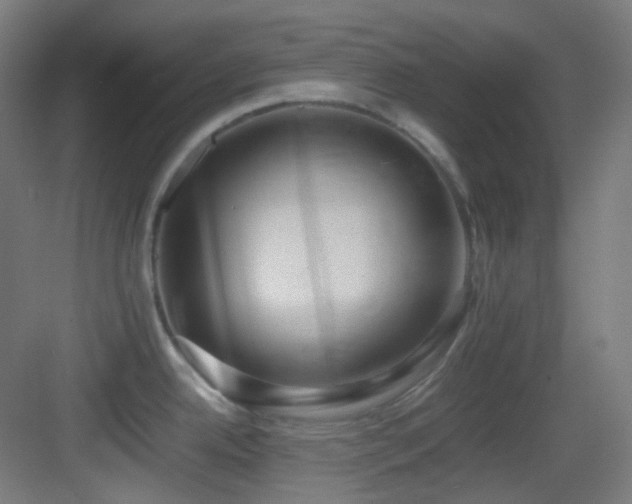 X0000083561342200702091115