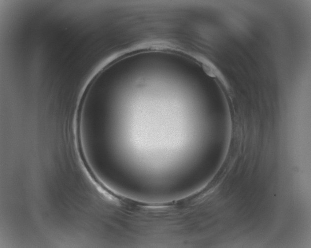 X0000083561343200702091115