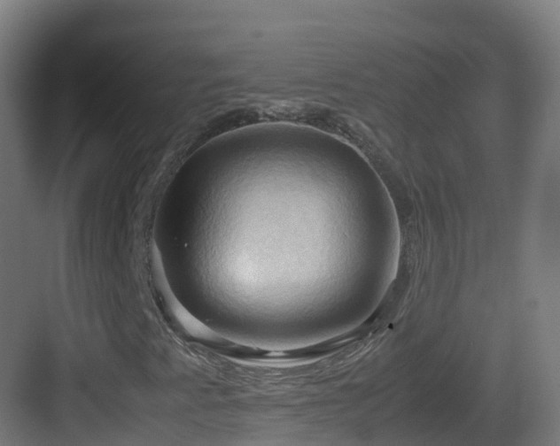 X0000083561345200702091114