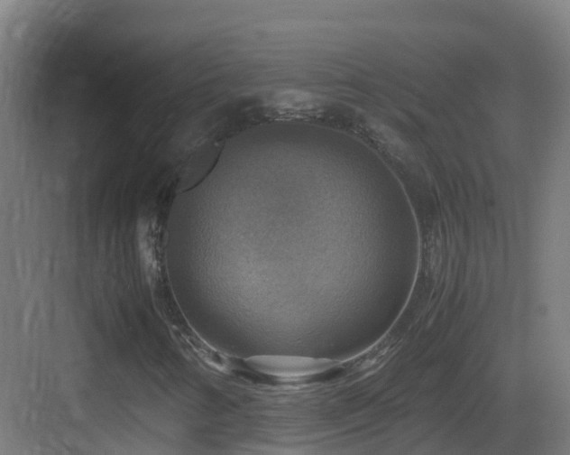 X0000083561346200702091114