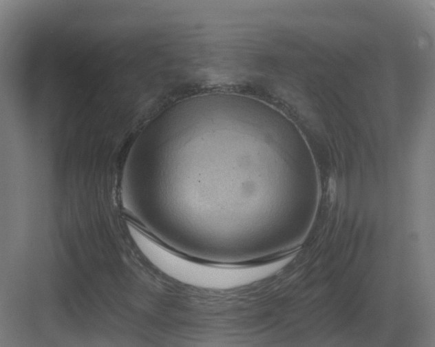 X0000083561348200702091114