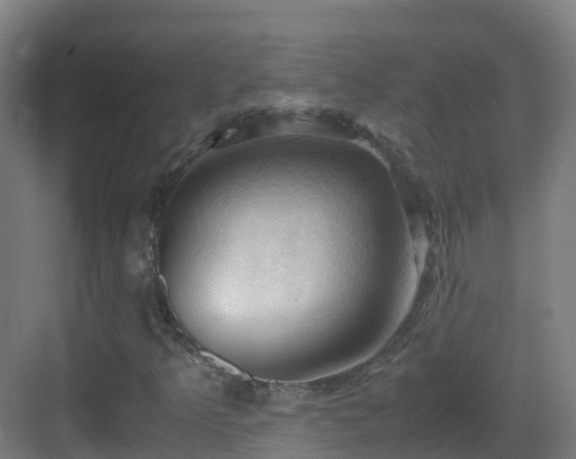 X0000083561349200702091114