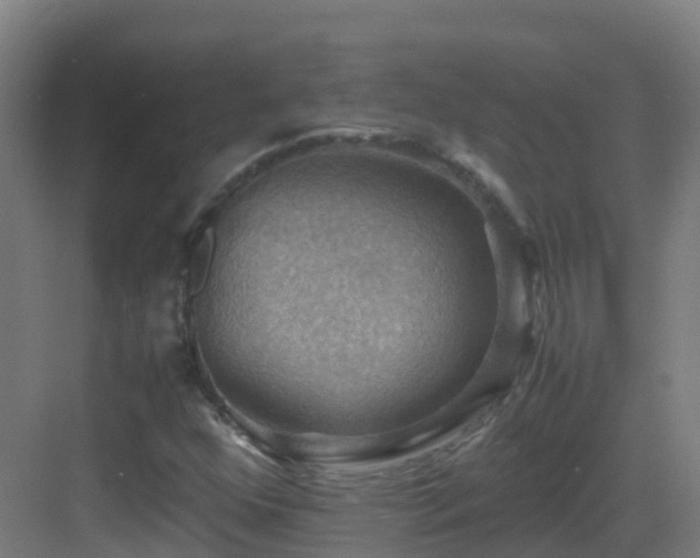 X0000083561352200702091114