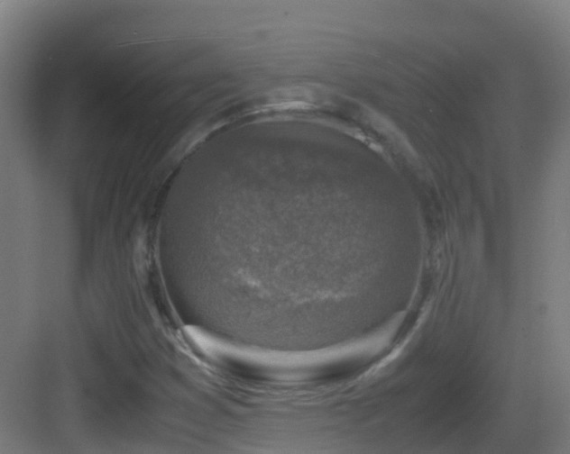 X0000083561353200702091114