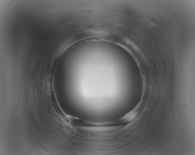X0000083561354200702091114