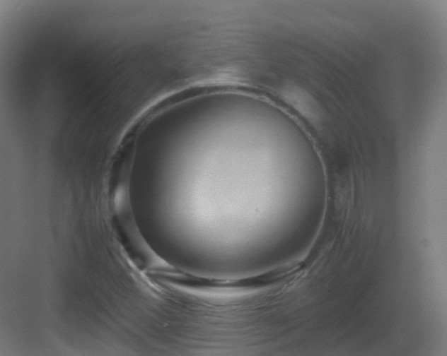 X0000083561356200702091114