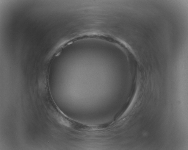 X0000083561359200702091114