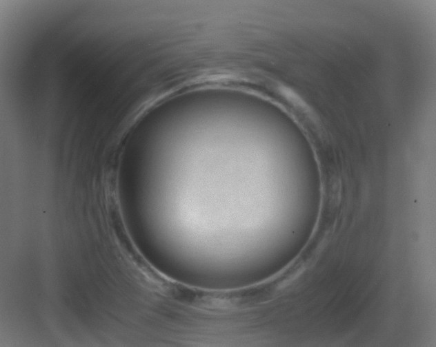 X0000083561361200702091114