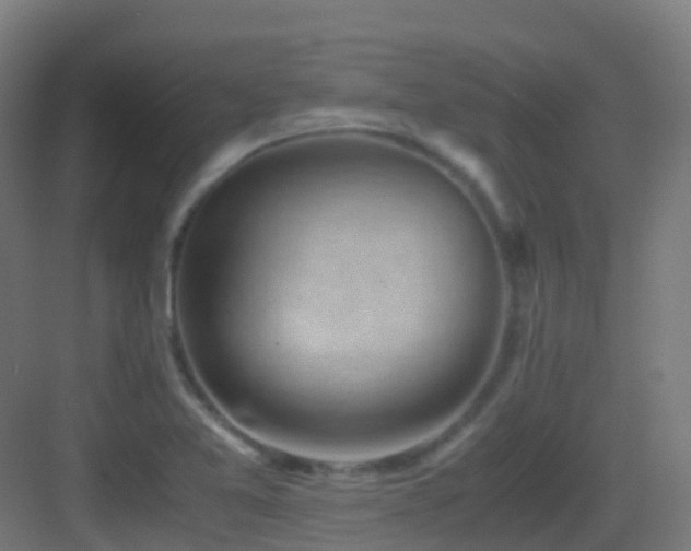 X0000083561365200702091113