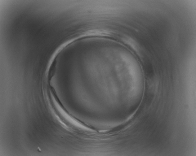 X0000083561371200702091113