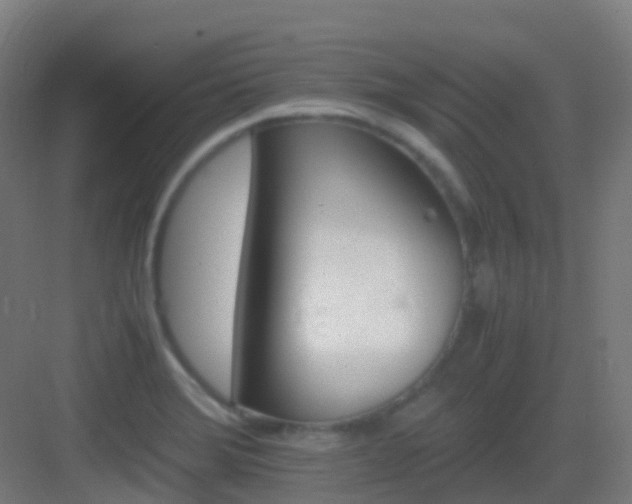 X0000083561372200702091113