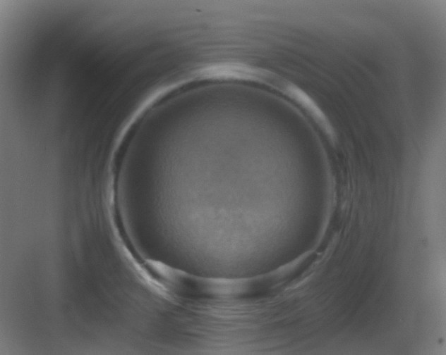 X0000083561376200702091113