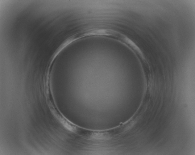 X0000083561378200702091113