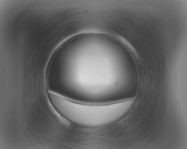 X0000083561380200702091113