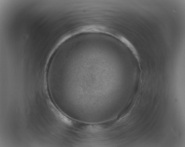X0000083561384200702091113
