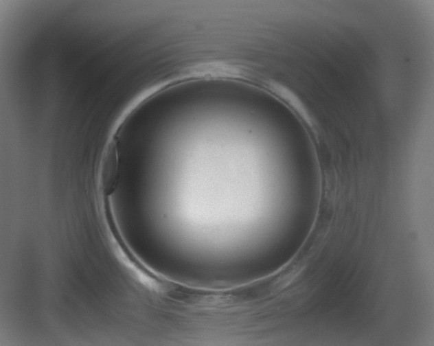 X0000083561387200702091113