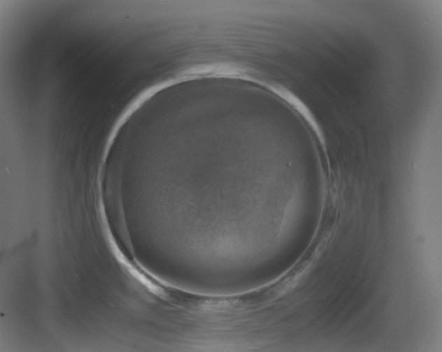 X0000083561389200702091113
