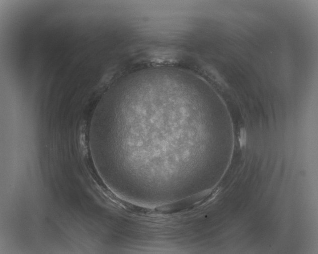 X0000083561396200702091112