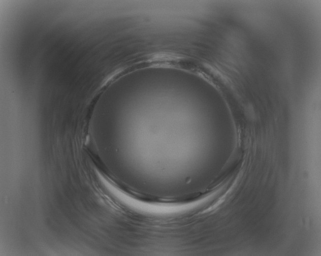 X0000083561401200702091112