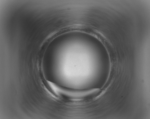 X0000083561402200702091112