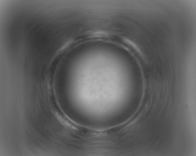 X0000083561403200702091112