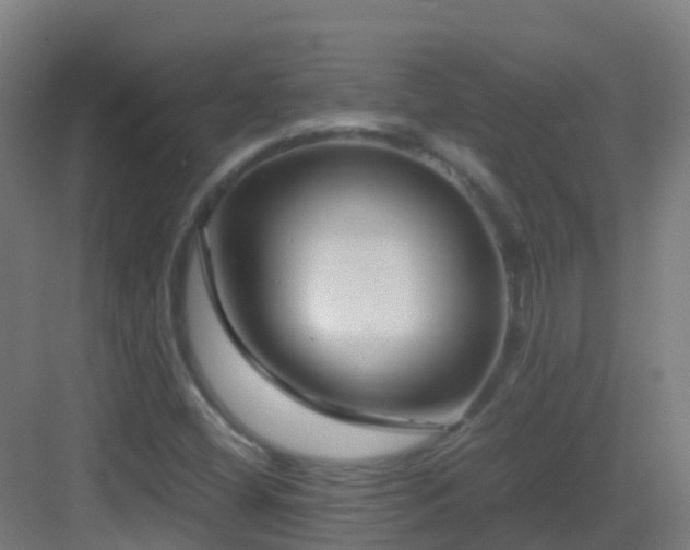 X0000083561404200702091112