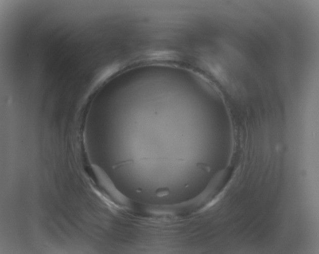 X0000083561405200702091112
