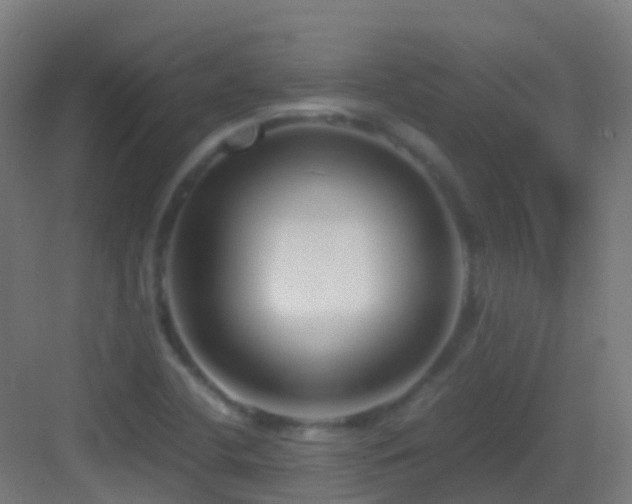 X0000083561412200702091113
