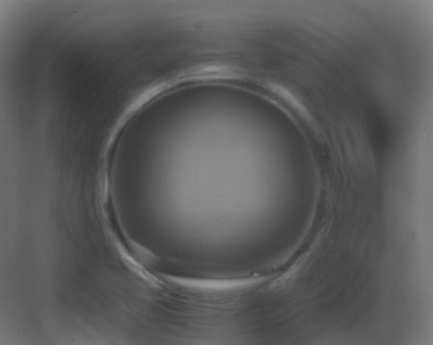 X0000083561413200702091113