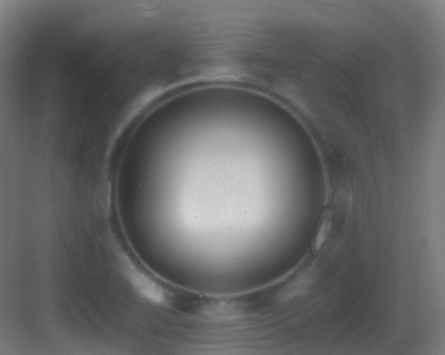 X0000083561414200702091113
