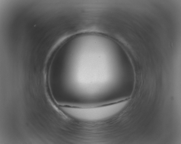 X0000083561416200702091113