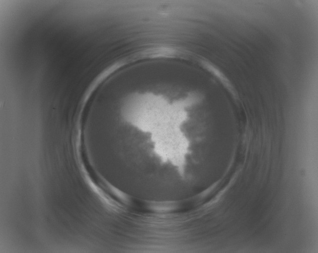 X0000083561418200702091113