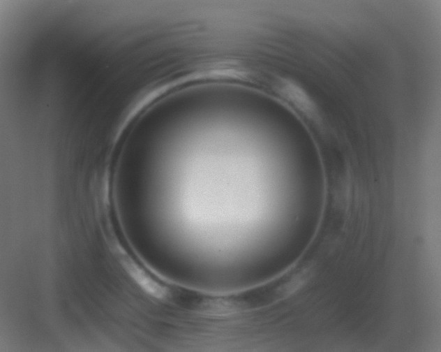 X0000083561420200702091113