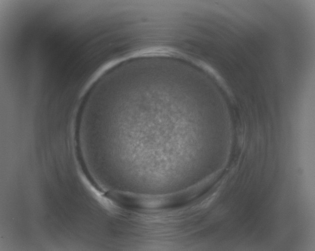 X0000083561422200702091113