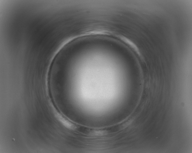 X0000083561423200702091113