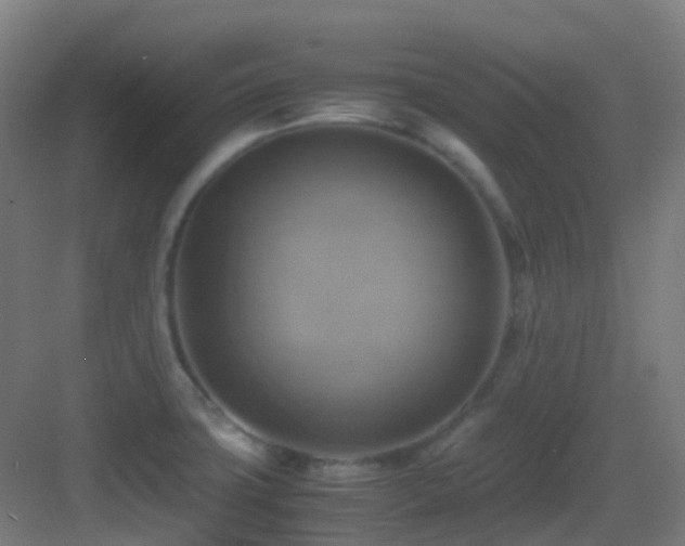 X0000083561427200702091113