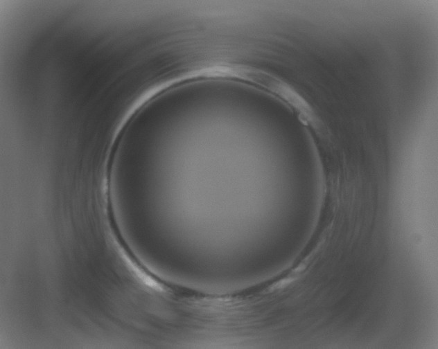 X0000083561428200702091113