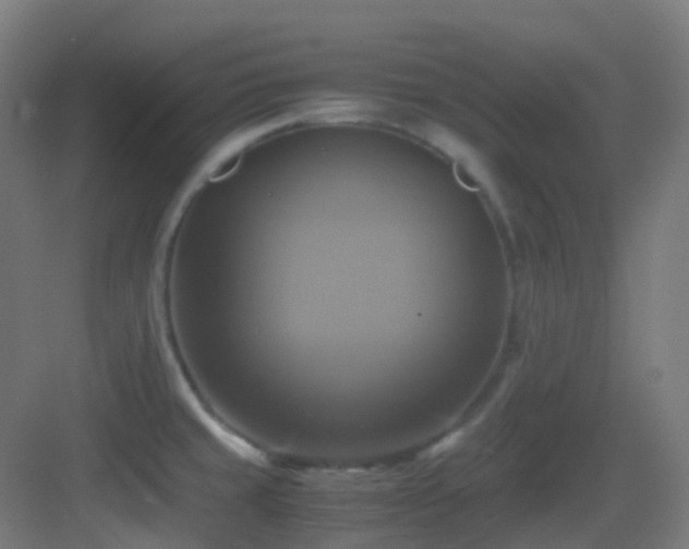 X0000083561429200702091113