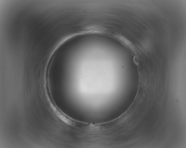X0000083561431200702091113
