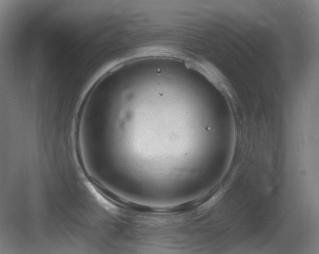X0000083561438200702091113