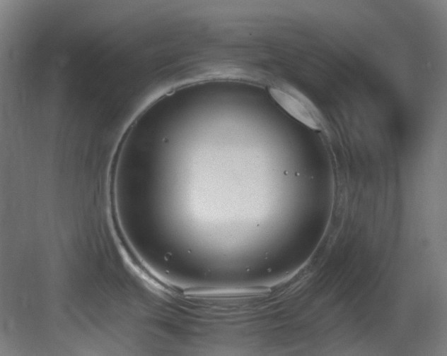 X0000083561439200702091113