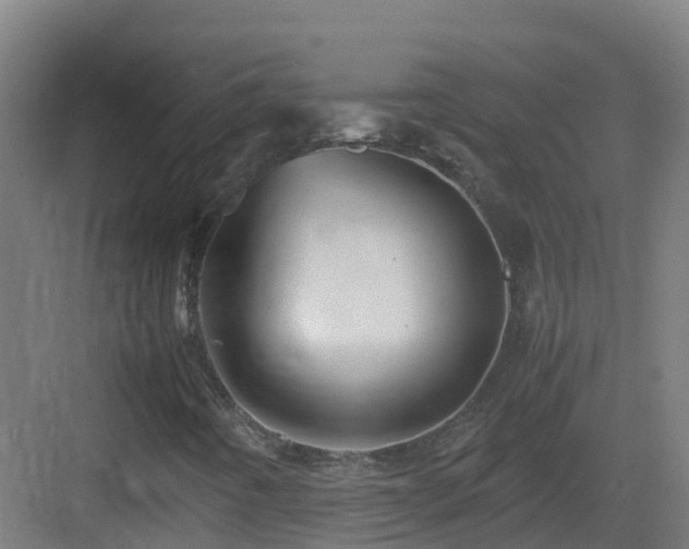 X0000083561442200702091112