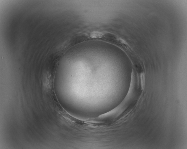 X0000083561443200702091112