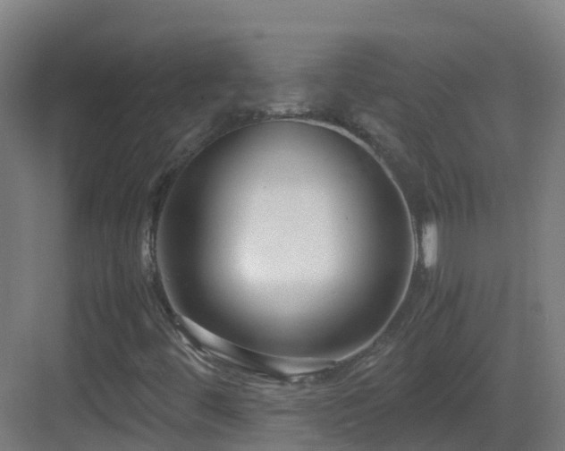 X0000083561444200702091112