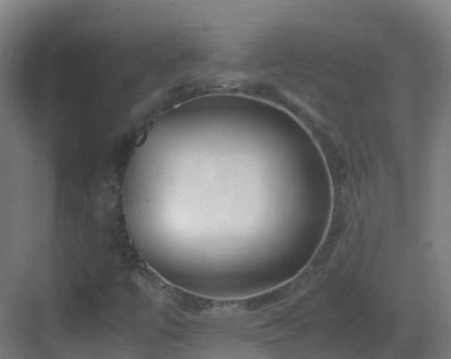 X0000083561447200702091112