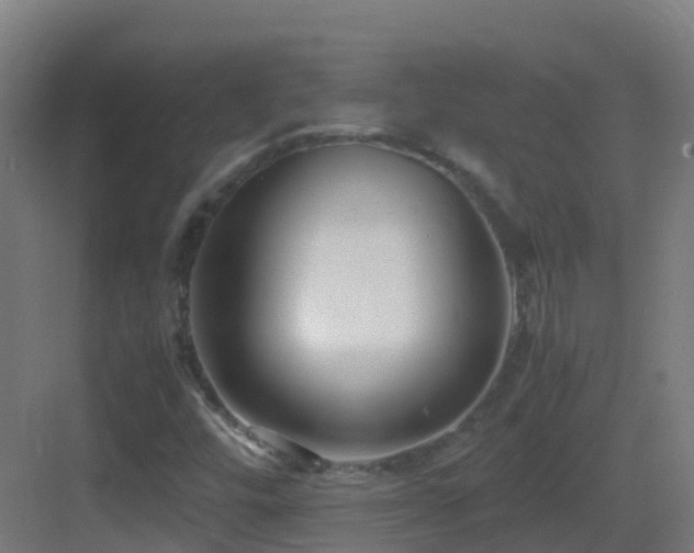 X0000083561448200702091112